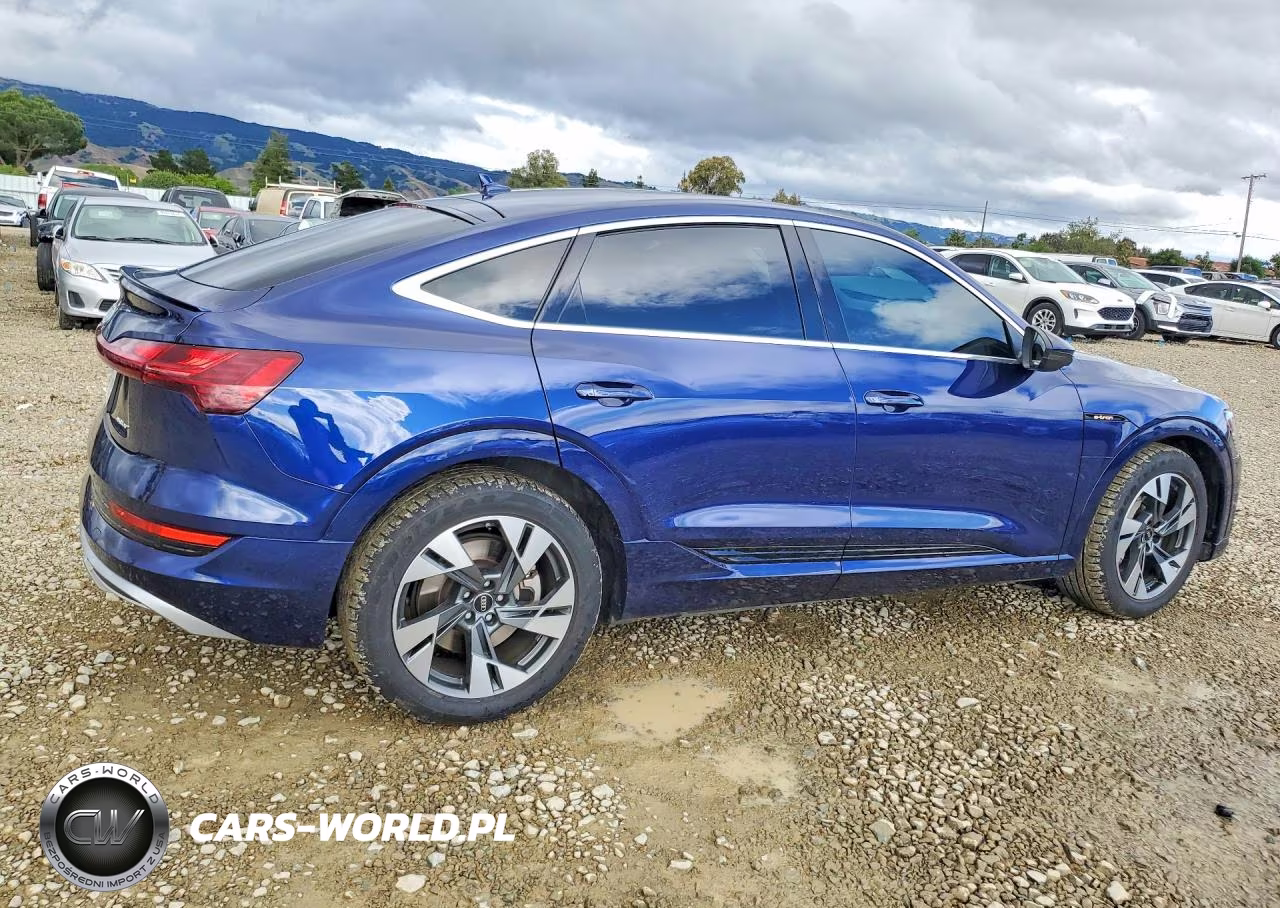2022 Audi E-Tron Sportback Premium VIN:WA11AAGEXNB020559 - 3