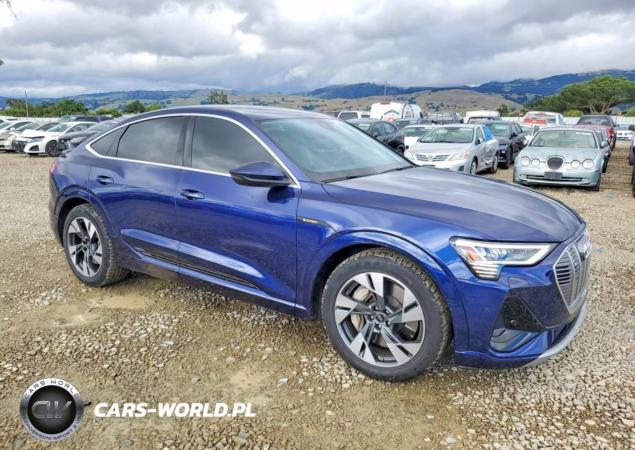 2022 Audi E-Tron Sportback Premium VIN:WA11AAGEXNB020559 - 4