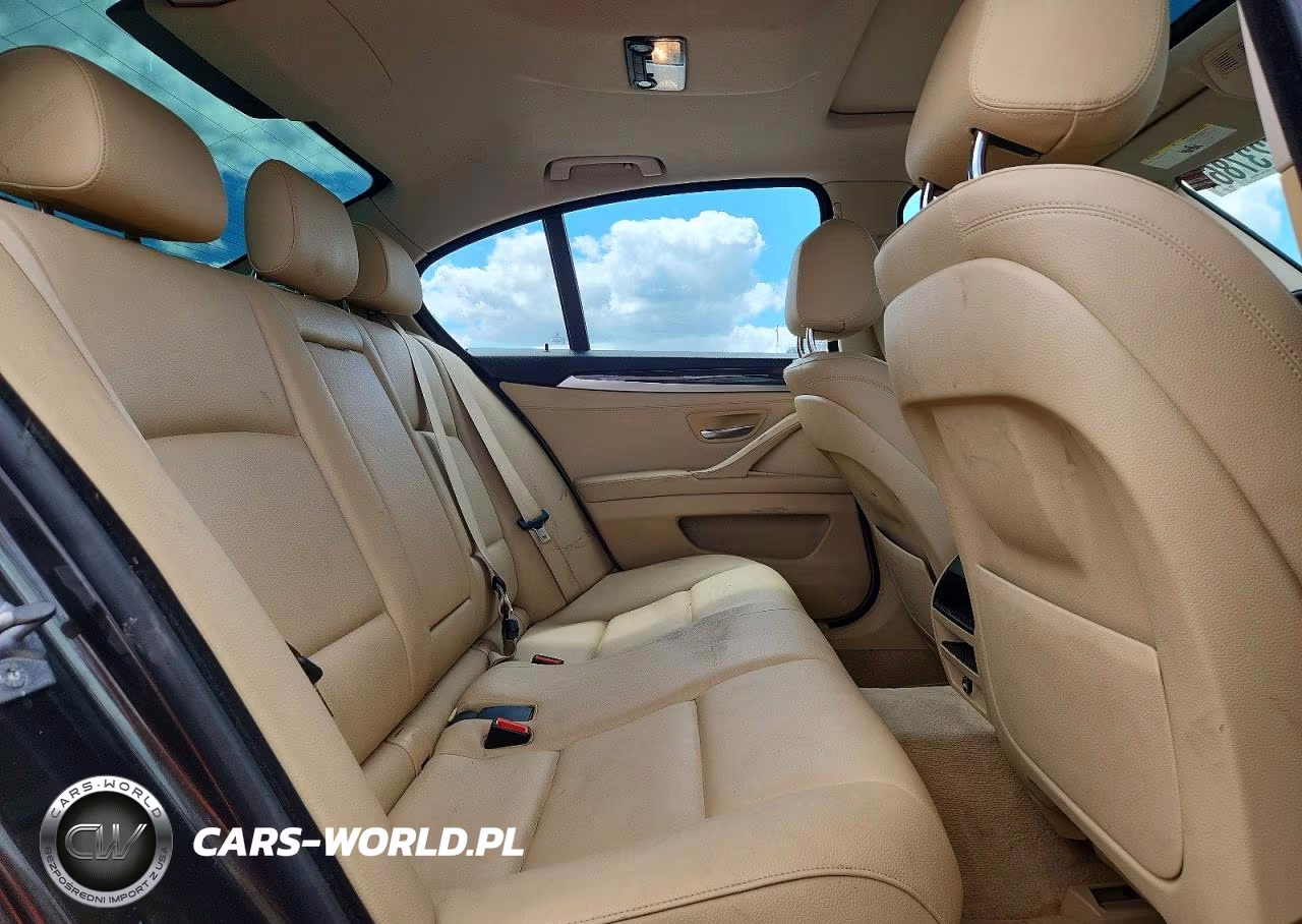 2014 BMW 528 VIN:WBA5A5C52ED506594 - 10