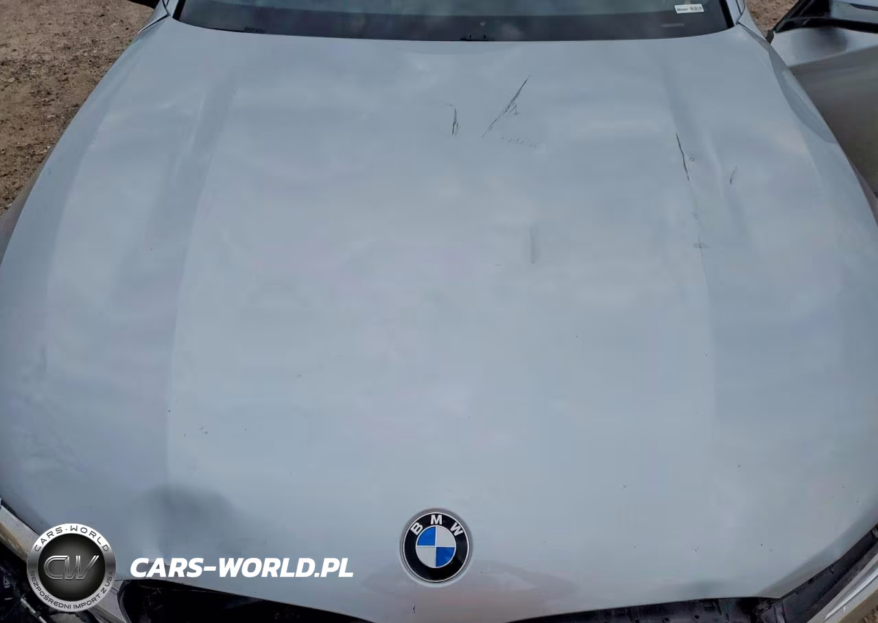2017 BMW 750 Xi VIN:WBA7F2C57HG421875 - 11