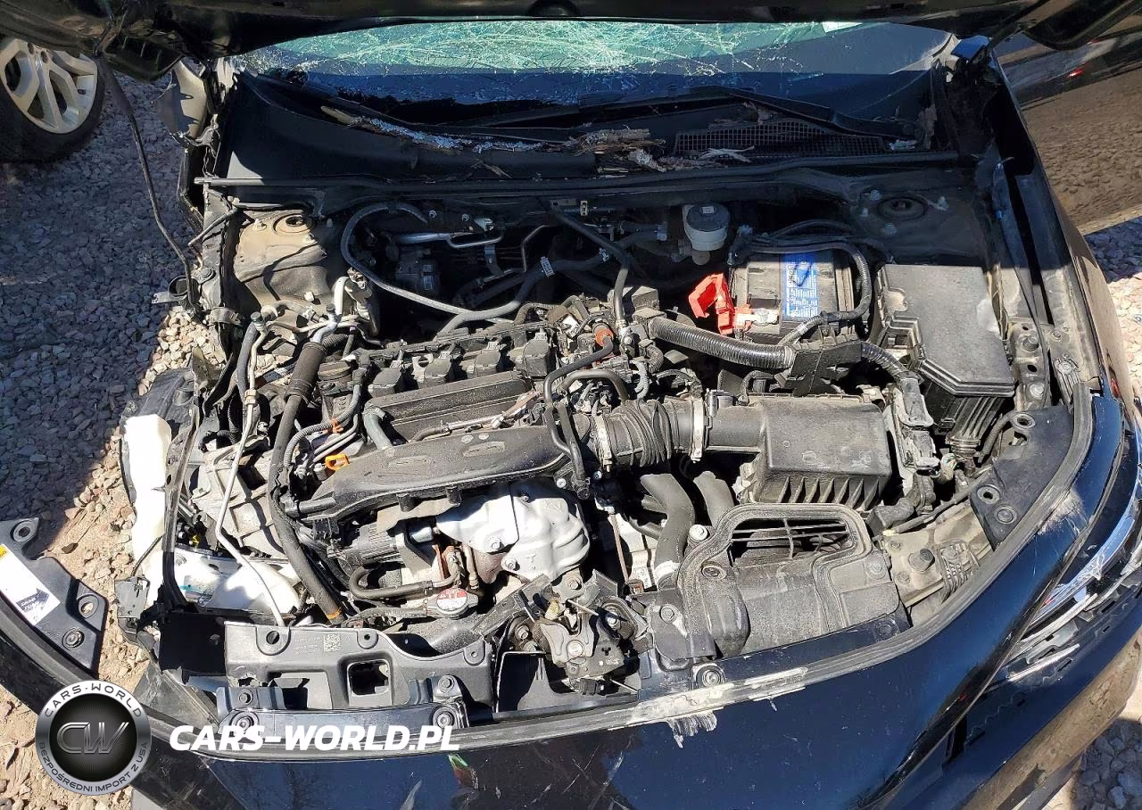 2024 Honda Civic Ex VIN:2HGFE1F77RH312400 - 11