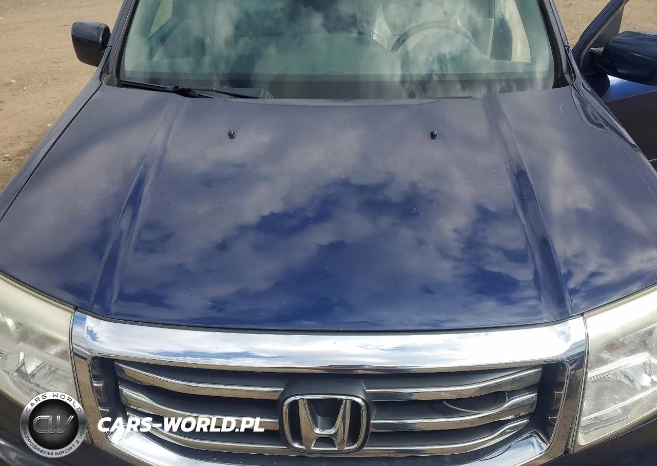 2014 Honda Pilot Exl VIN:5FNYF4H52EB035429 - 12