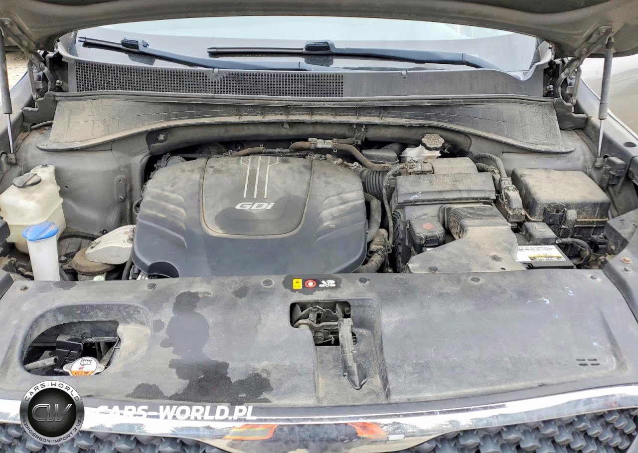 2017 Kia Sorento Lx V6 VIN:5XYPGDA50HG191825 - 11