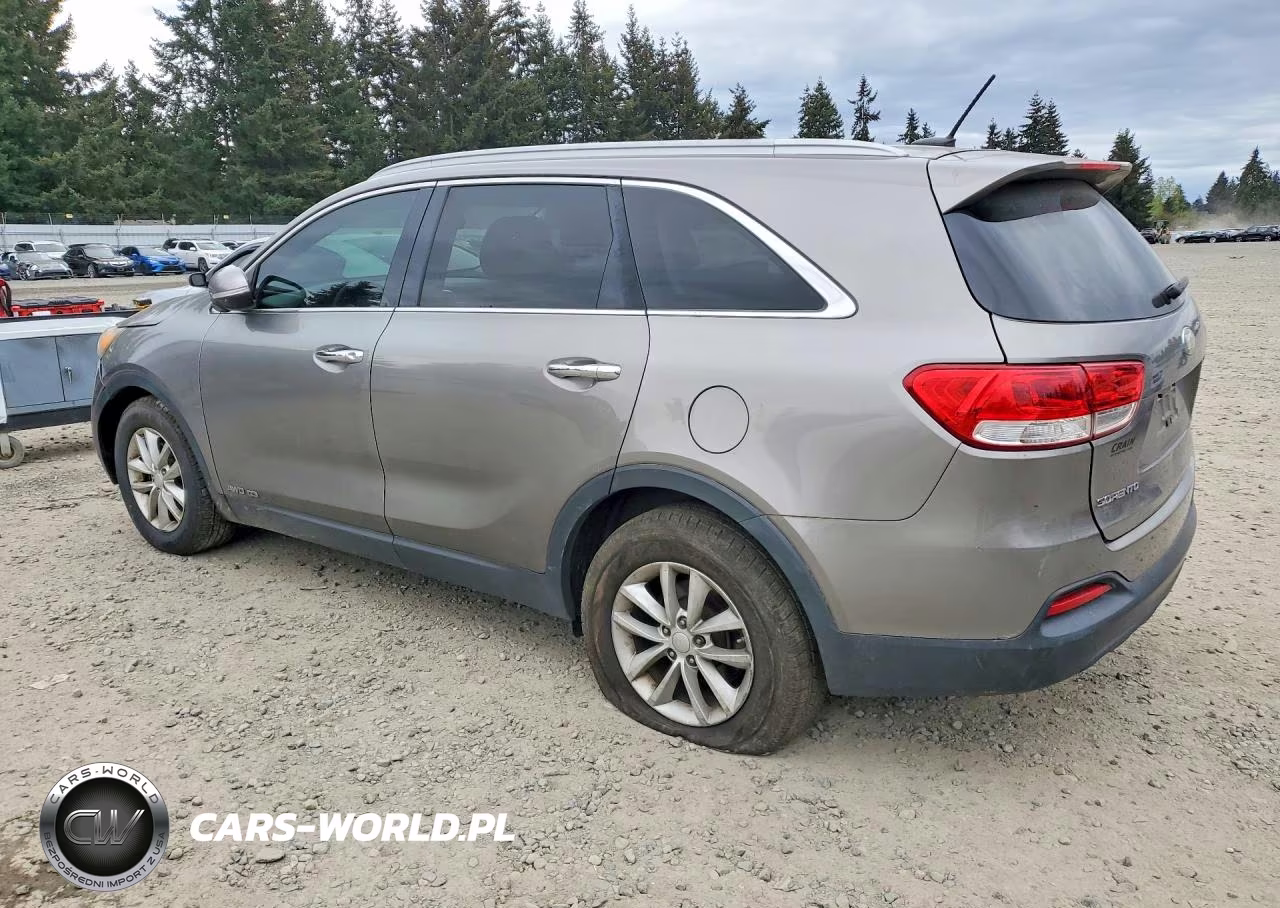 2017 Kia Sorento Lx V6 VIN:5XYPGDA50HG191825 - 2