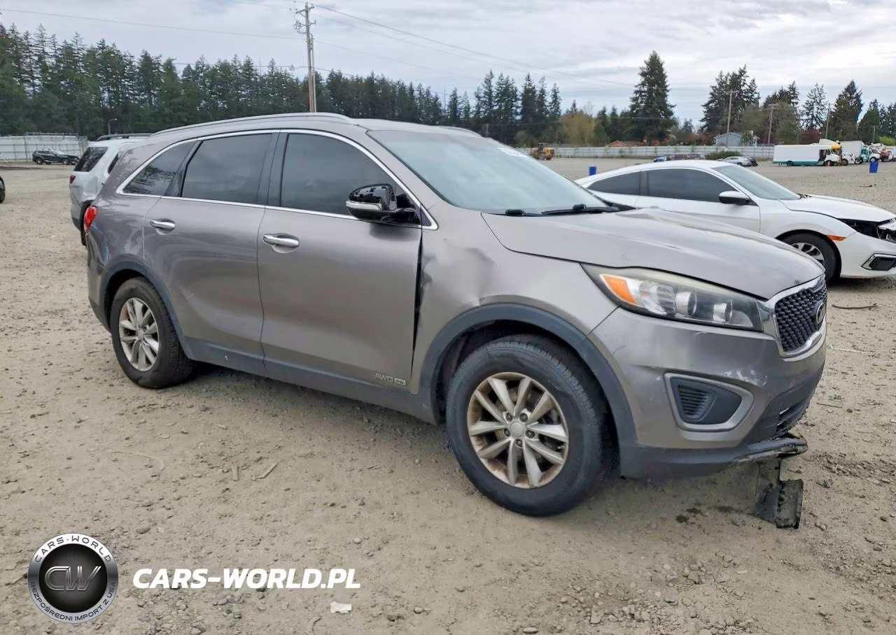 2017 Kia Sorento Lx V6 VIN:5XYPGDA50HG191825 - 4