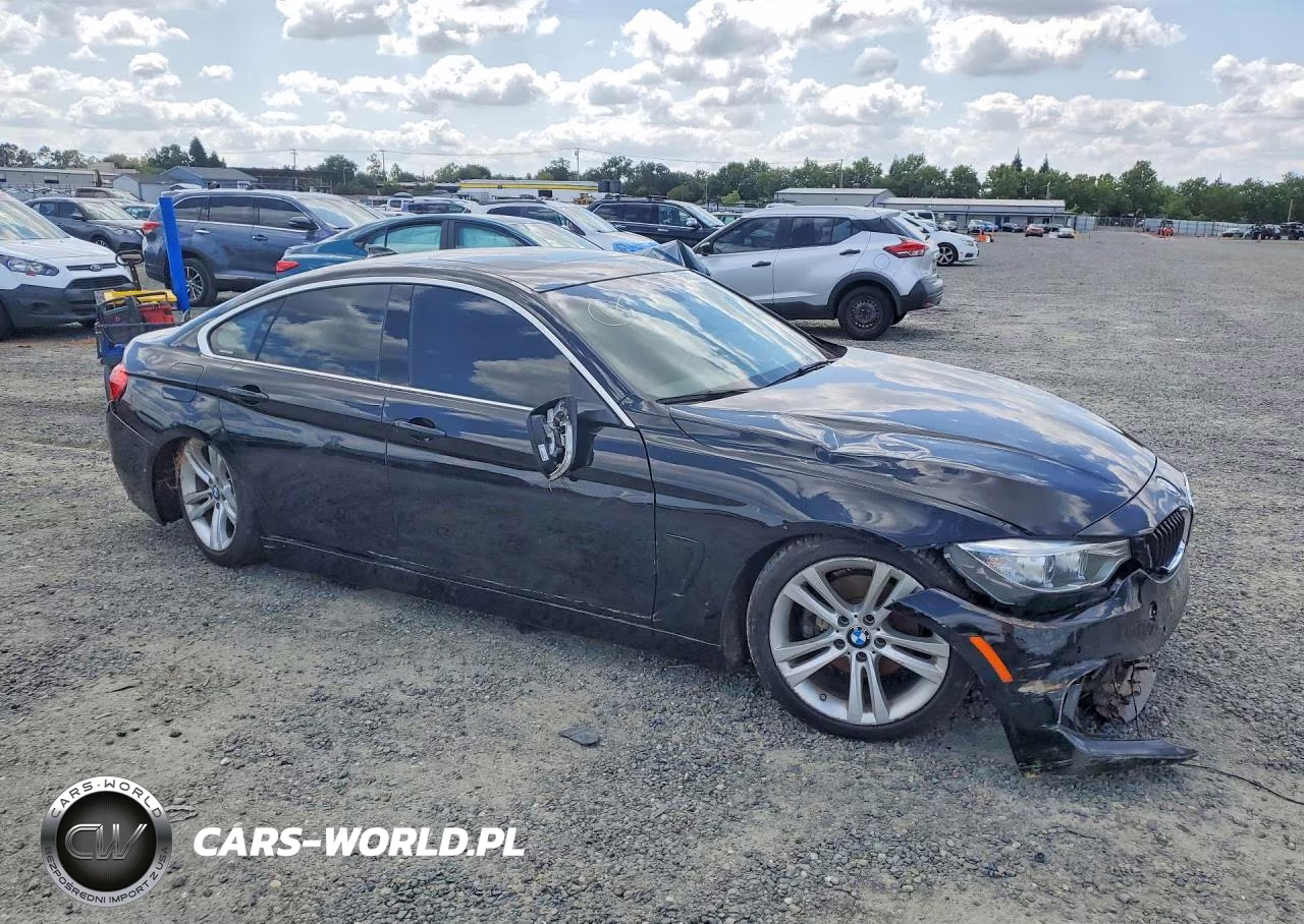 2016 BMW 428 I Gran Coupe Sulev VIN:WBA4A9C59GG695877 - 4