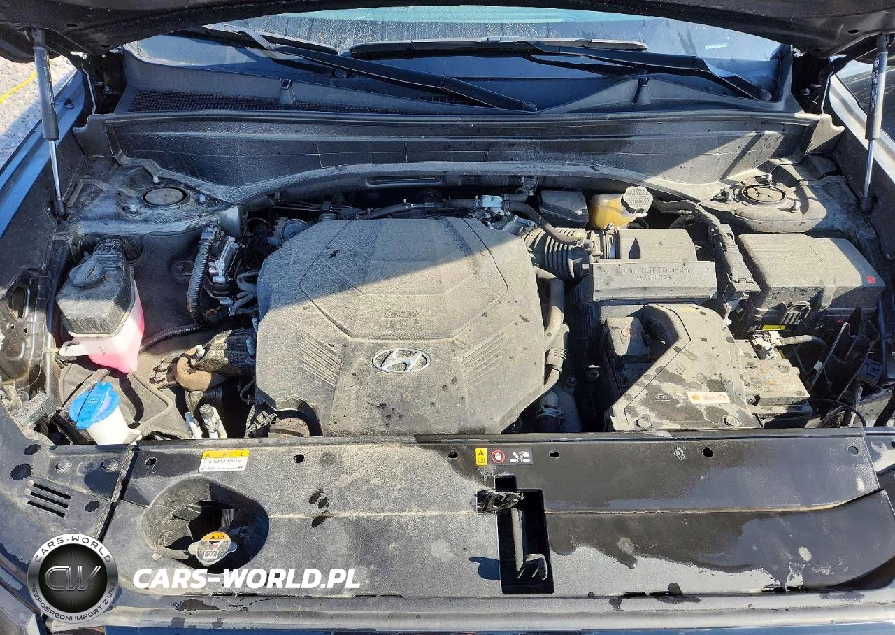 2024 Hyundai Palisade Sel Premium VIN:KM8R44GE3RU794370 - 12