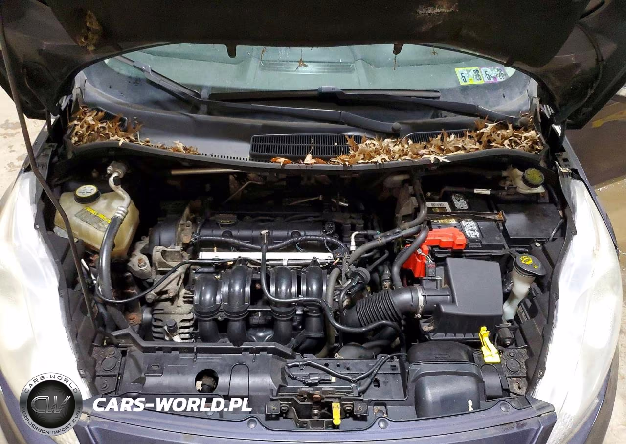 2013 Ford Fiesta Se VIN:3FADP4EJ3DM122706 - 11