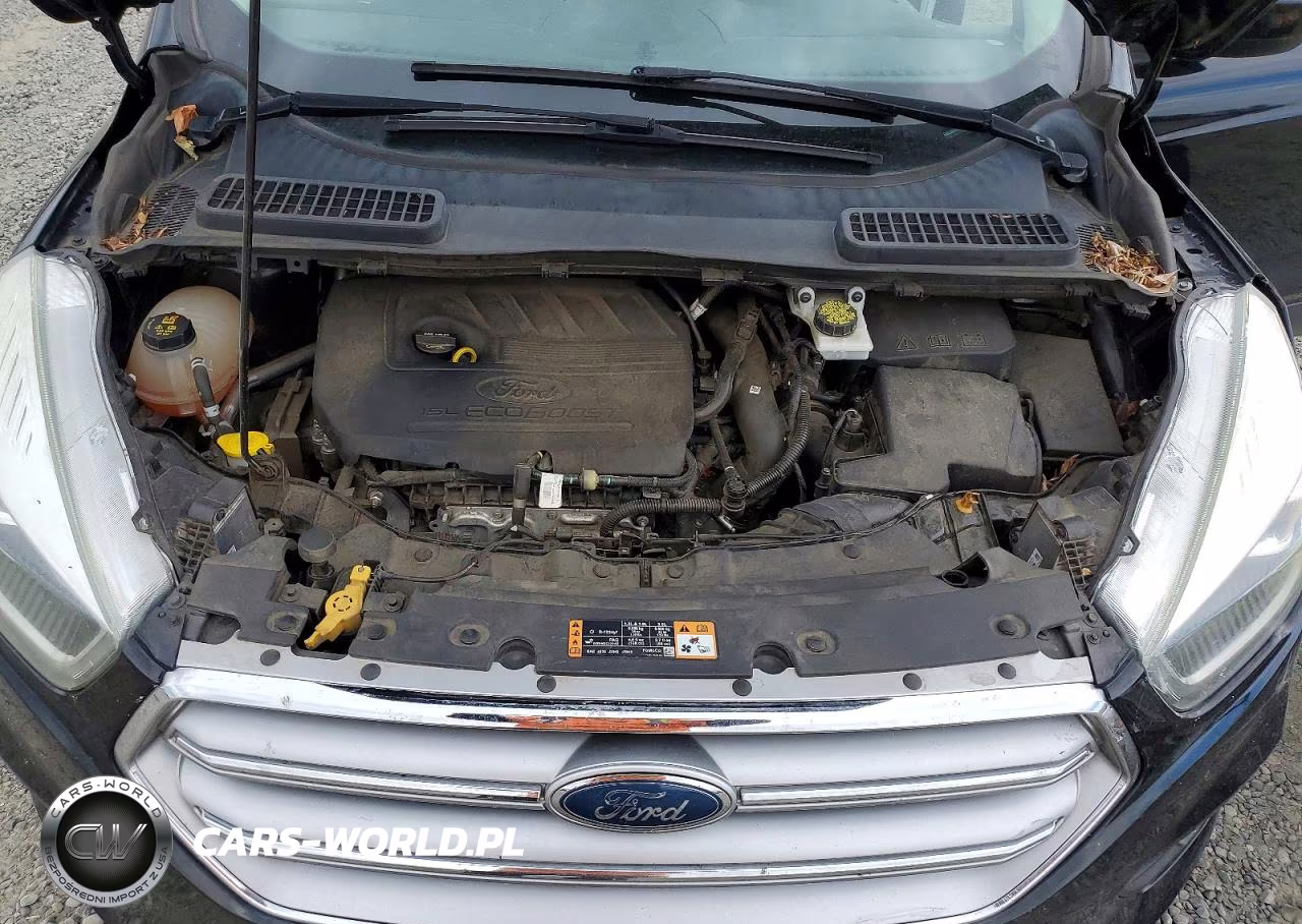2017 Ford Escape Se VIN:1FMCU0GD3HUC98442 - 12