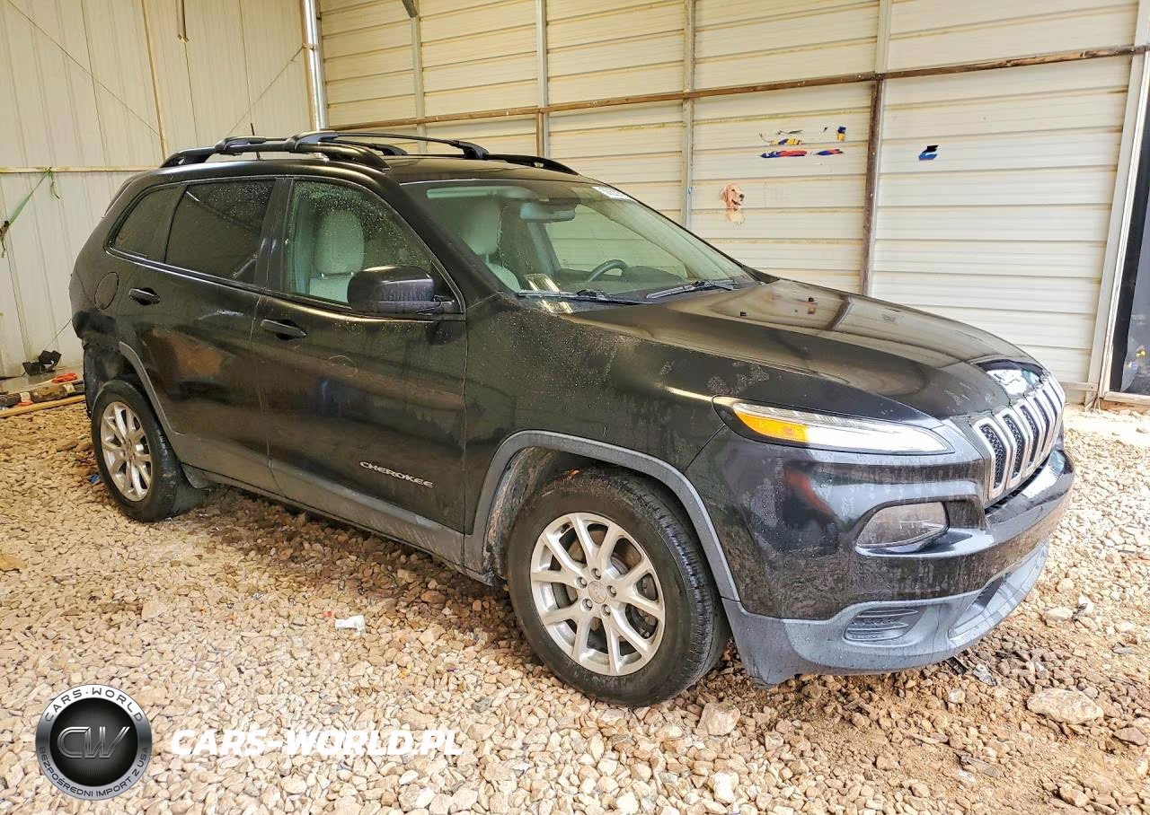 2016 Jeep Cherokee Sport VIN:1C4PJLAB6GW189662 - 4