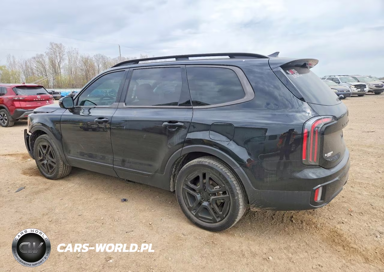 2025 Kia Telluride Sx-Prestige X-Line VIN:5XYP5DGC9SG627641 - 2