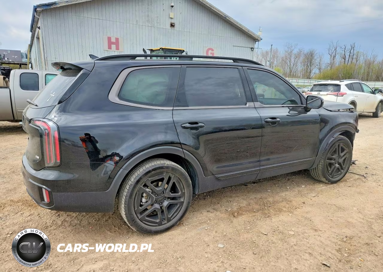 2025 Kia Telluride Sx-Prestige X-Line VIN:5XYP5DGC9SG627641 - 3