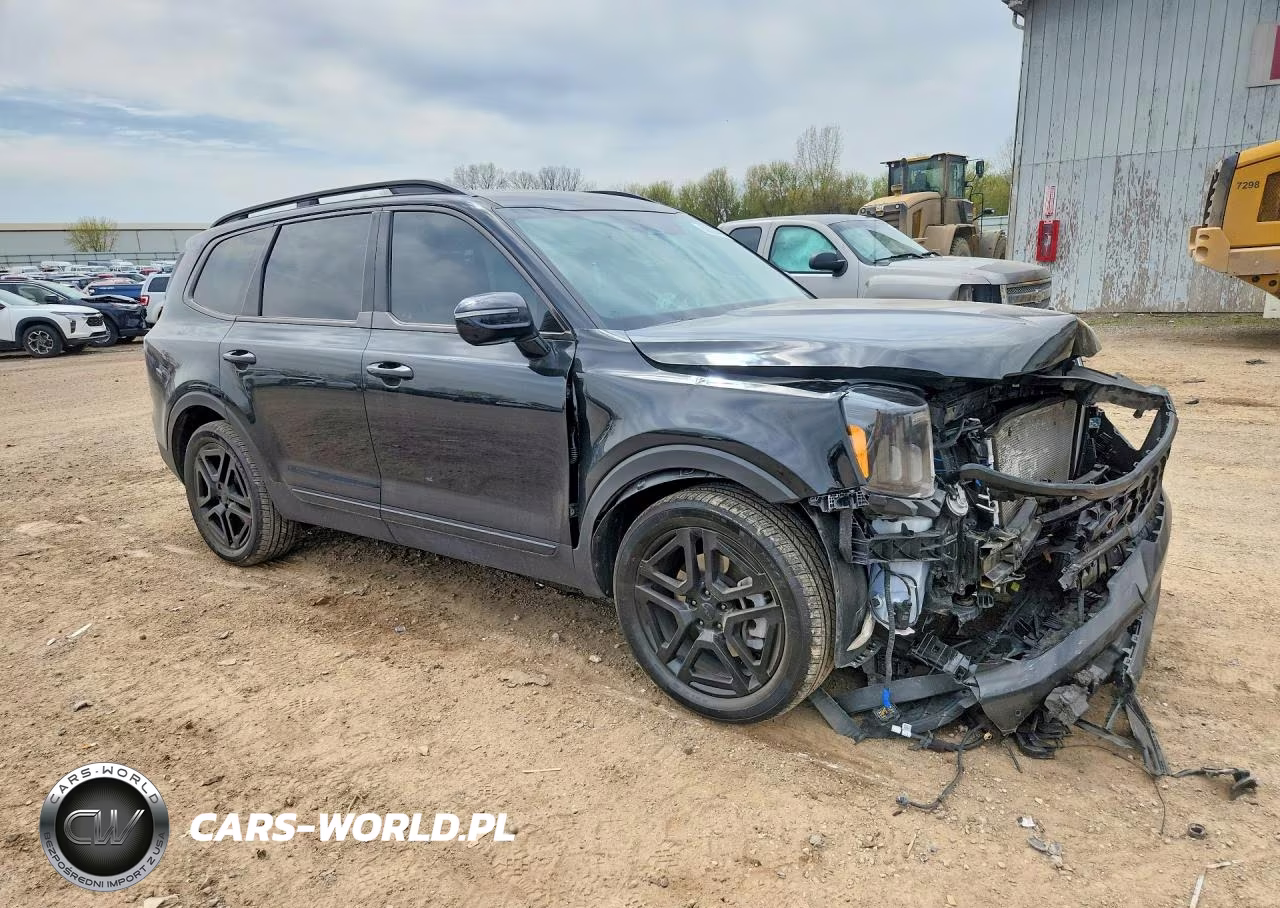 2025 Kia Telluride Sx-Prestige X-Line VIN:5XYP5DGC9SG627641 - 4