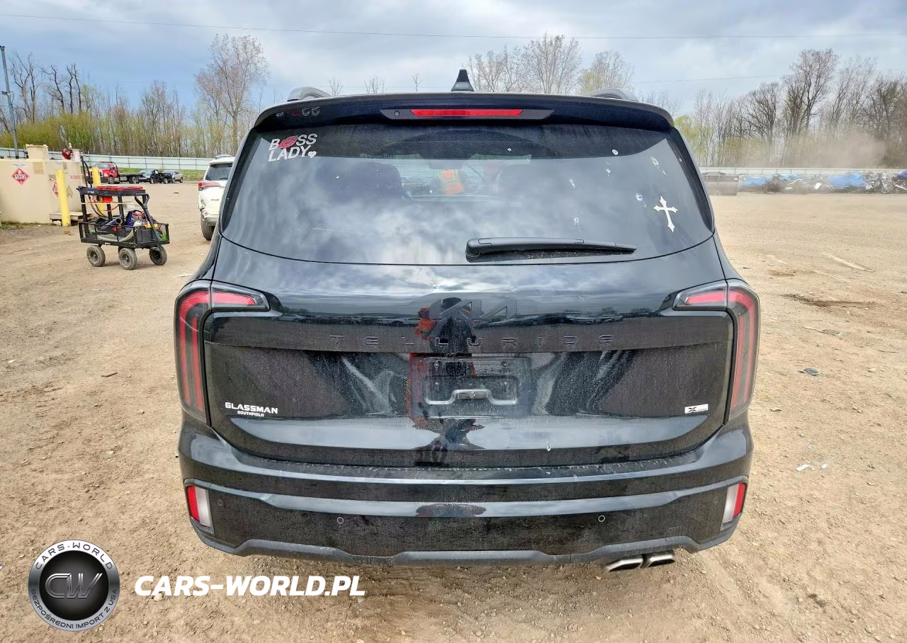 2025 Kia Telluride Sx-Prestige X-Line VIN:5XYP5DGC9SG627641 - 6