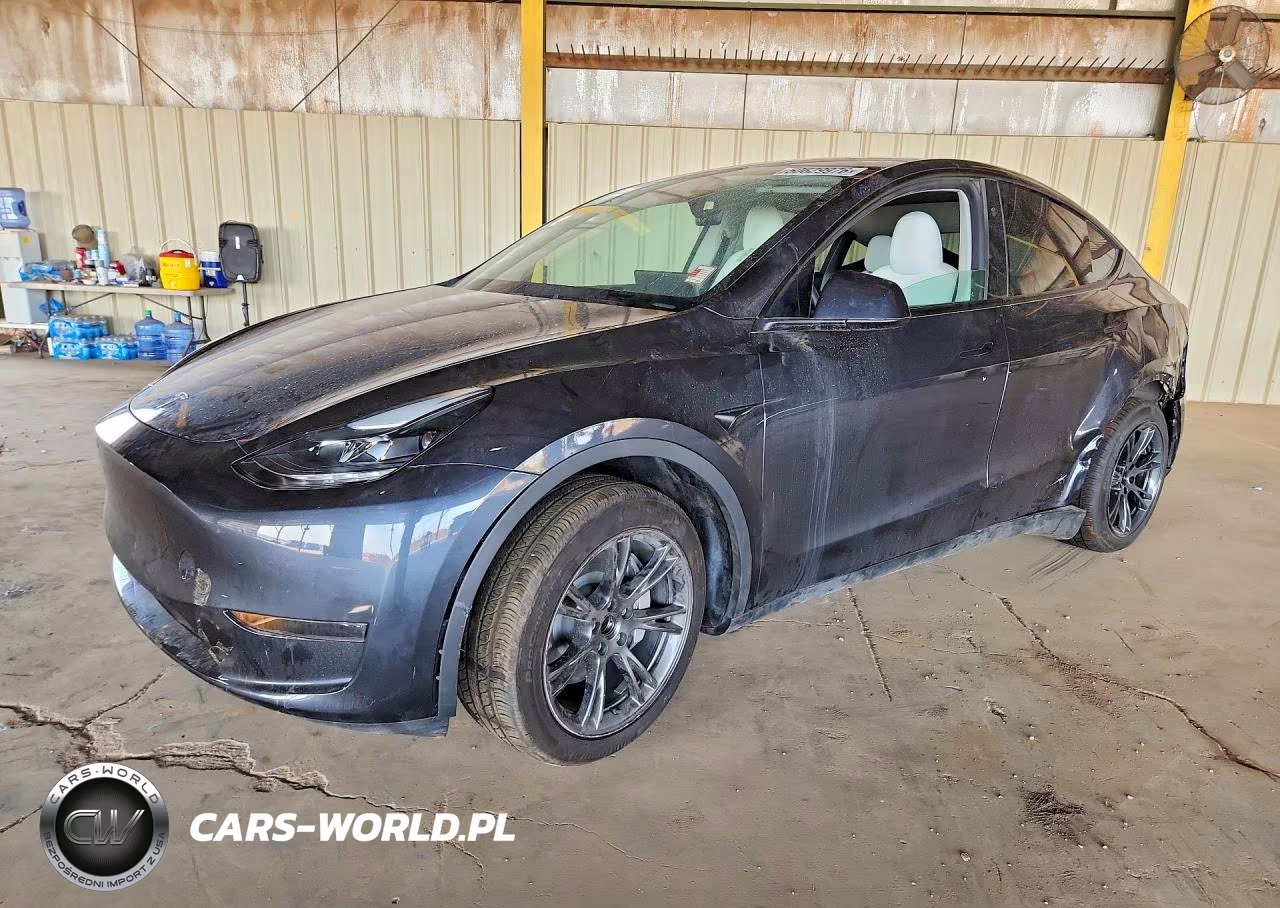 2025 Tesla Model Y