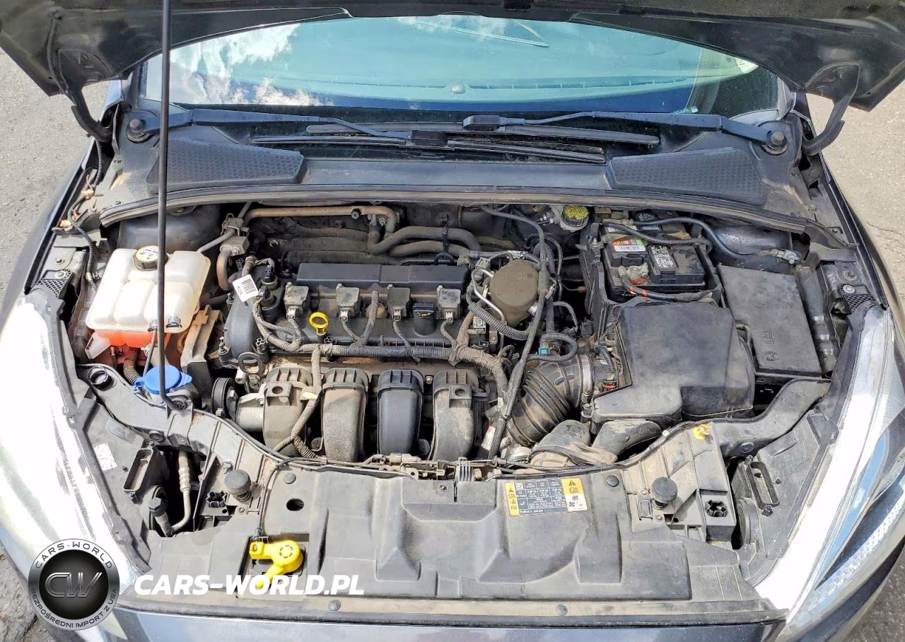 2015 Ford Focus Titanium VIN:1FADP3J26FL364788 - 11