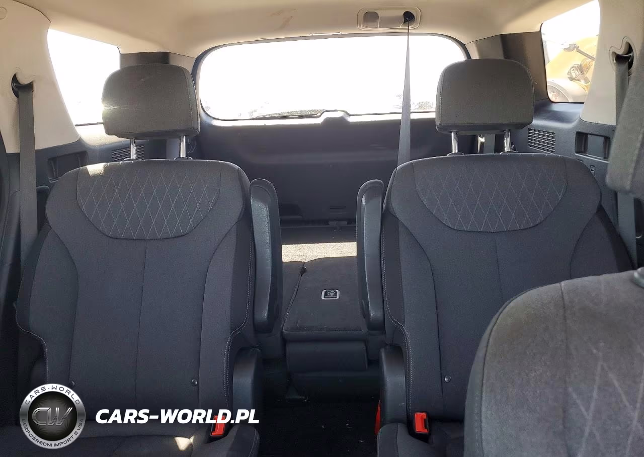2020 Hyundai Palisade Sel VIN:KM8R3DHE7LU081013 - 10