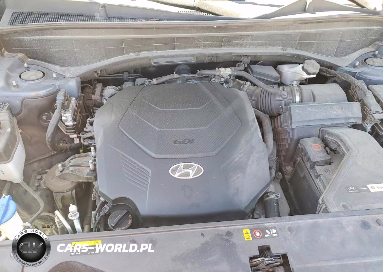 2020 Hyundai Palisade Sel VIN:KM8R3DHE7LU081013 - 12