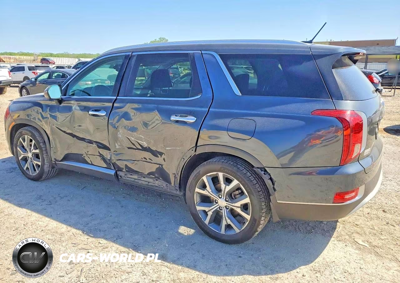 2020 Hyundai Palisade Sel VIN:KM8R3DHE7LU081013 - 2
