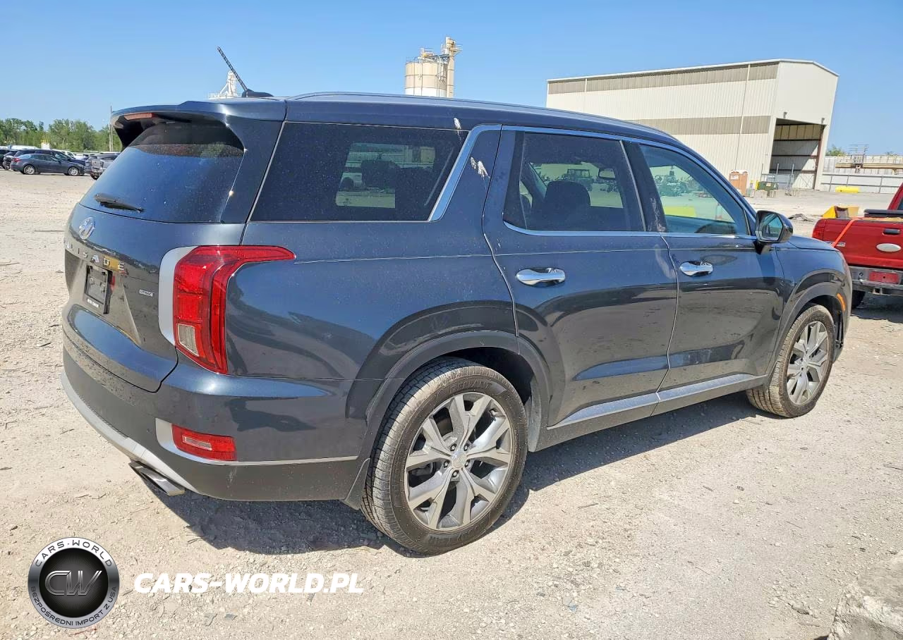 2020 Hyundai Palisade Sel VIN:KM8R3DHE7LU081013 - 3