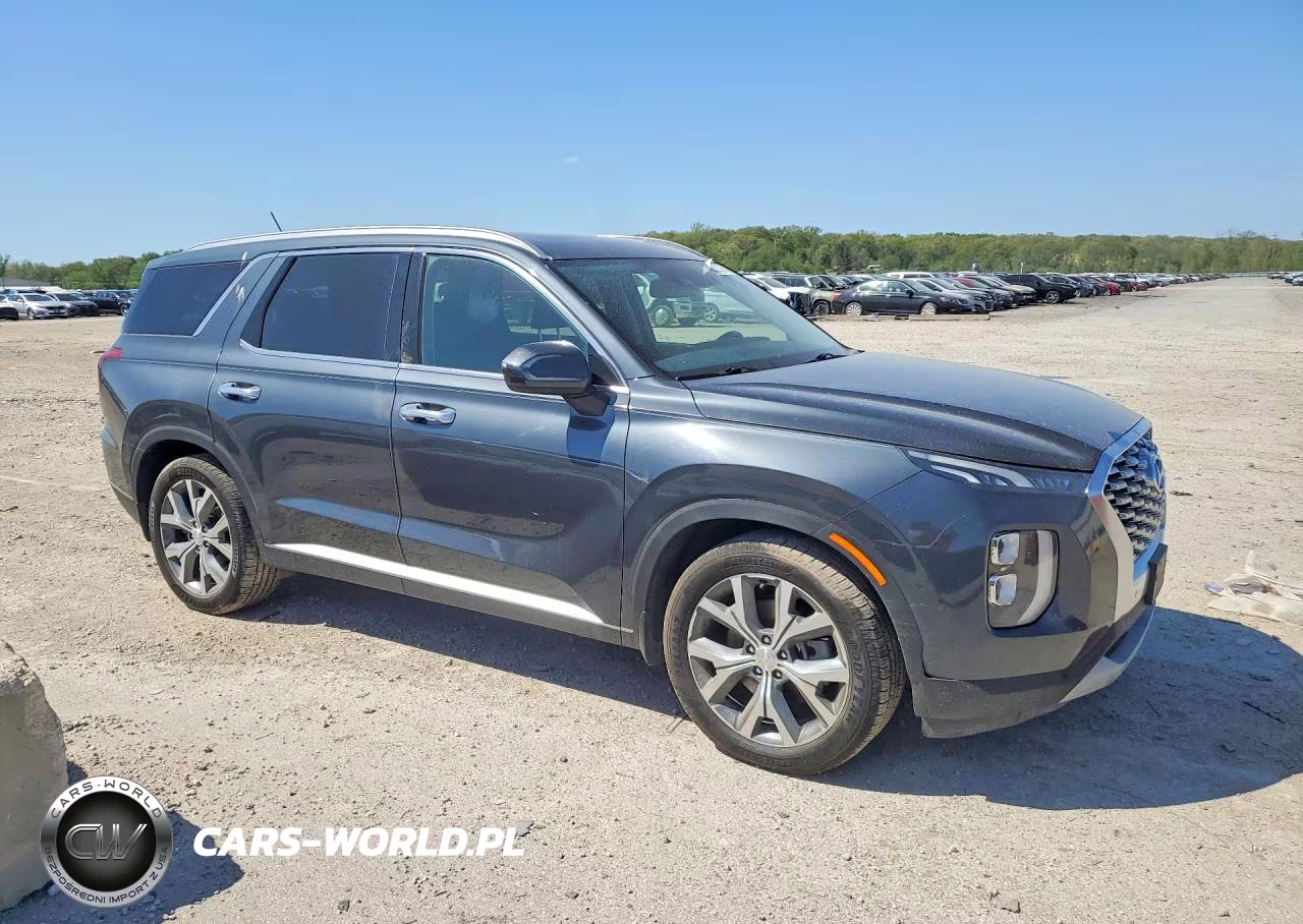2020 Hyundai Palisade Sel VIN:KM8R3DHE7LU081013 - 4