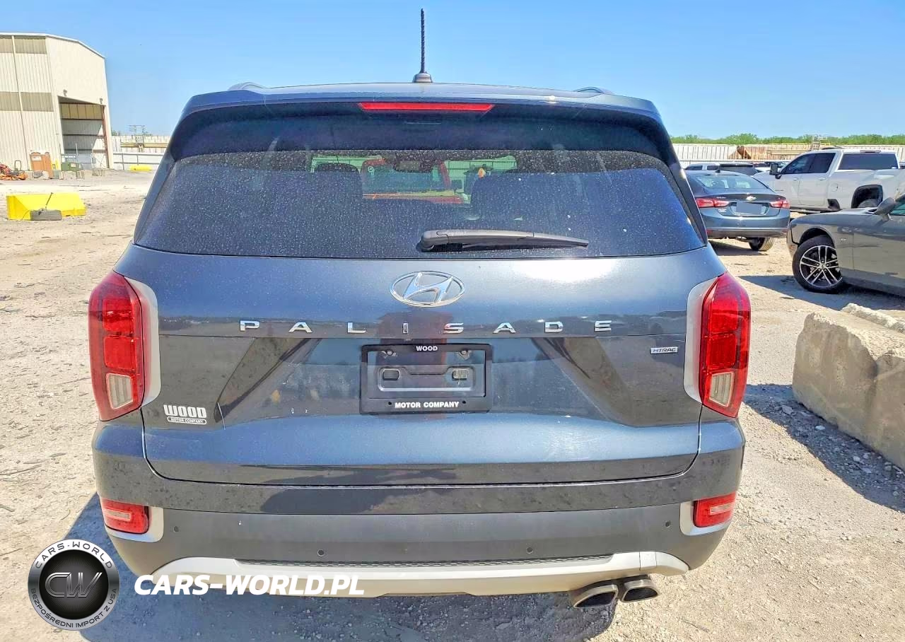 2020 Hyundai Palisade Sel VIN:KM8R3DHE7LU081013 - 6