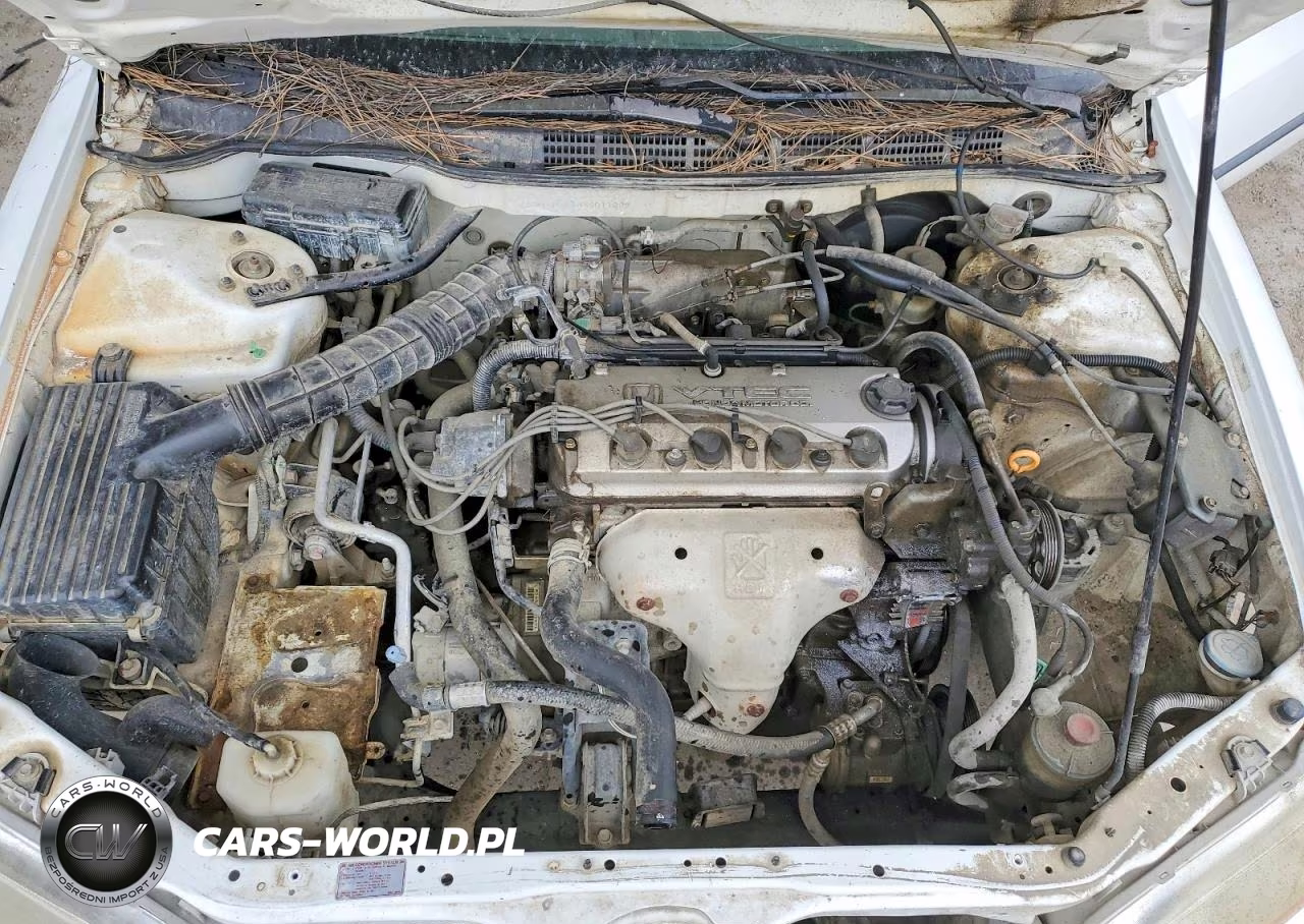 1999 Honda Accord Lx VIN:JHMCG5543XC011082 - 11