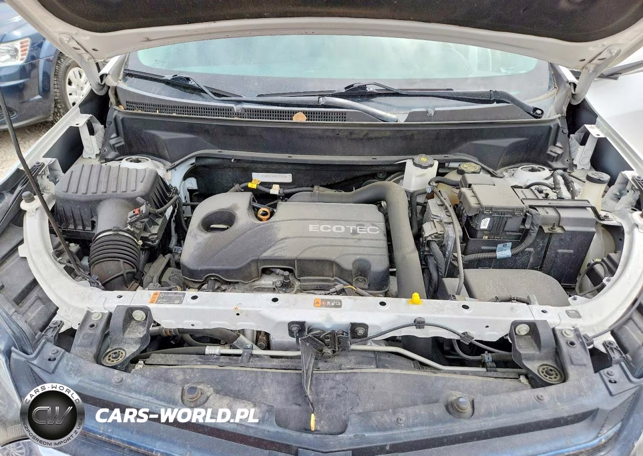 2019 Chevrolet Equinox Lt VIN:2GNAXTEV1K6257465 - 11