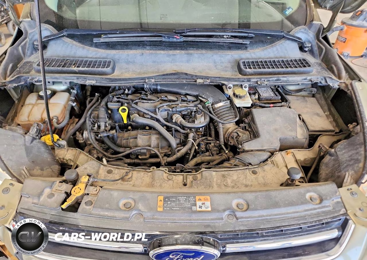2014 Ford Escape Titanium VIN:1FMCU0JX1EUA82443 - 12