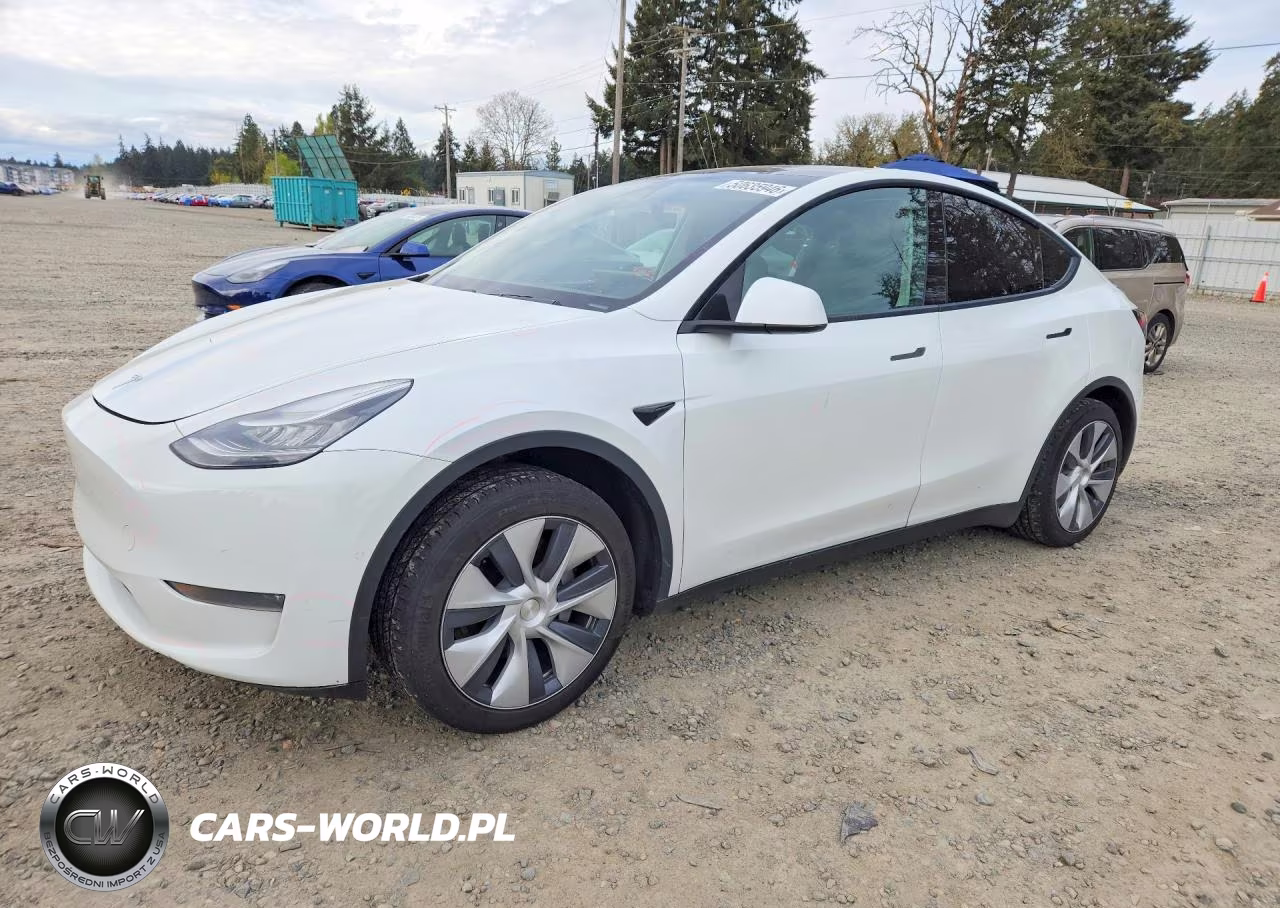 2020 Tesla Model Y