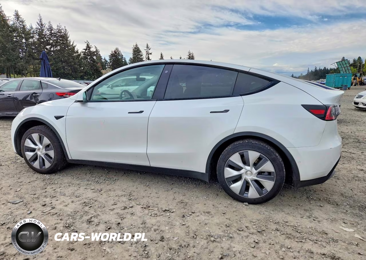 2020 Tesla Model Y VIN:5YJYGDEE9LF052985 - 2