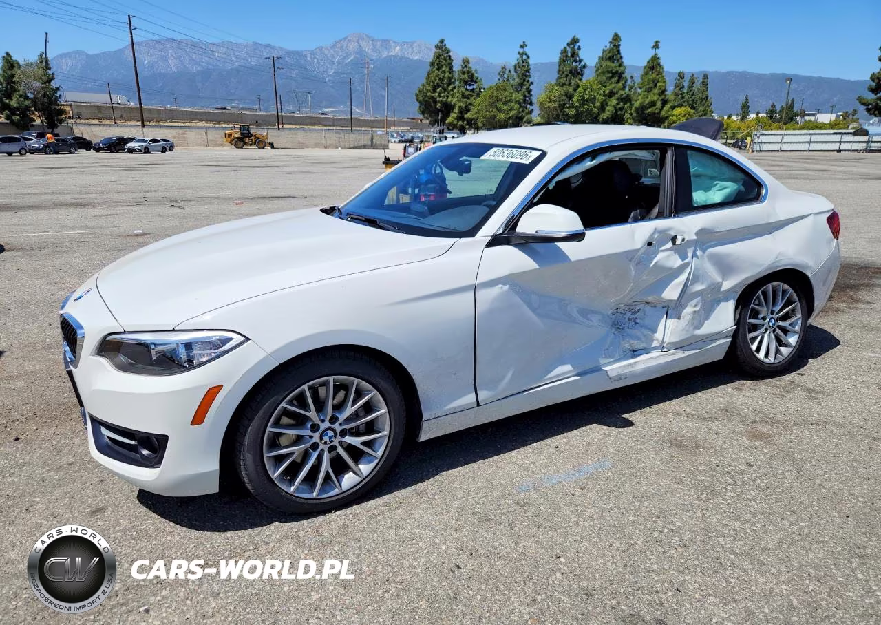 2016 BMW 228 I Sulev