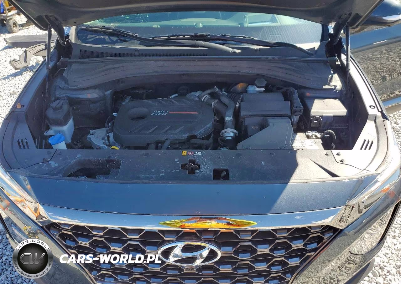 2020 Hyundai Santa Fe Limited 2.0T VIN:5NMS5CAA6LH169270 - 12