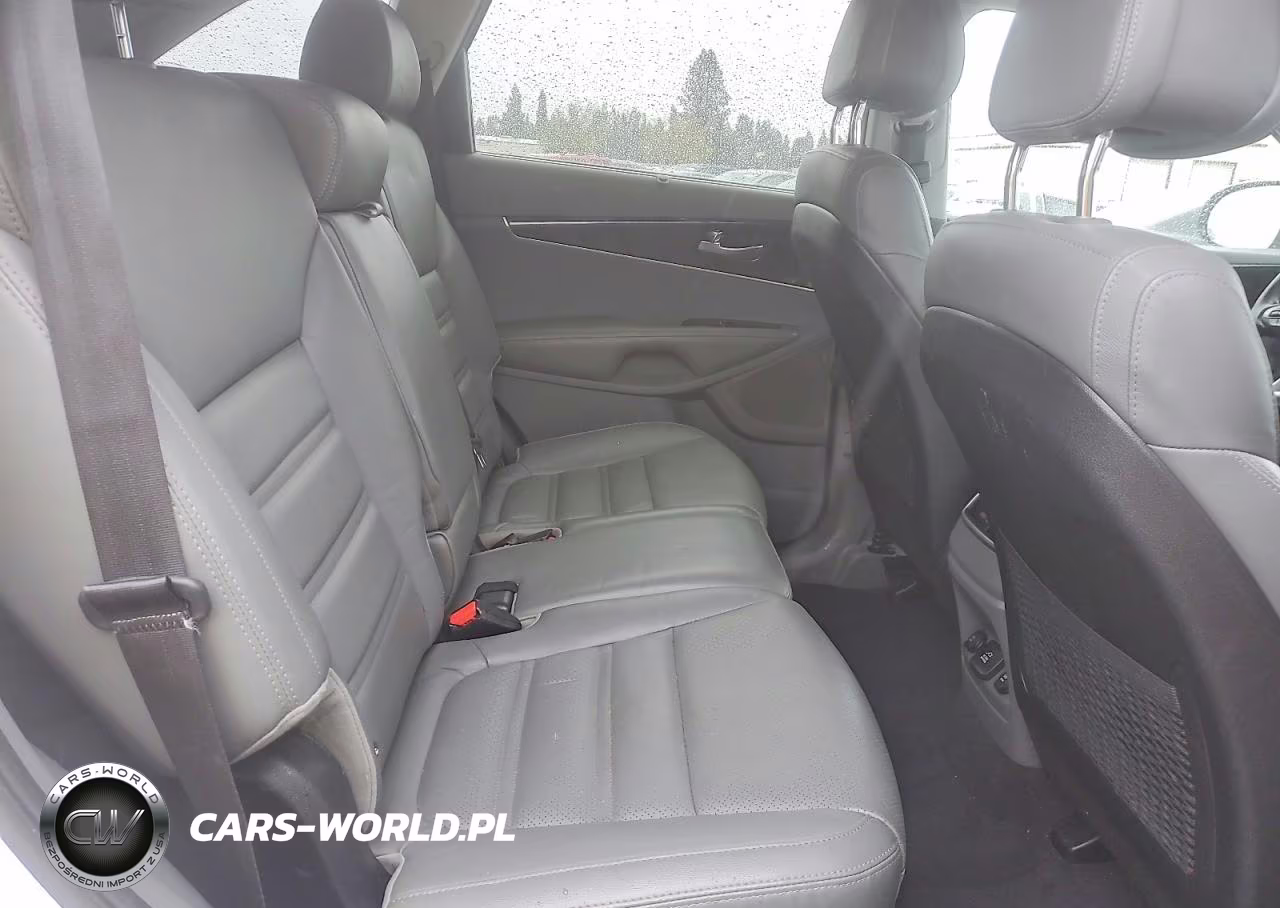 2016 Kia Sorento Ex VIN:5XYPHDA52GG110478 - 10