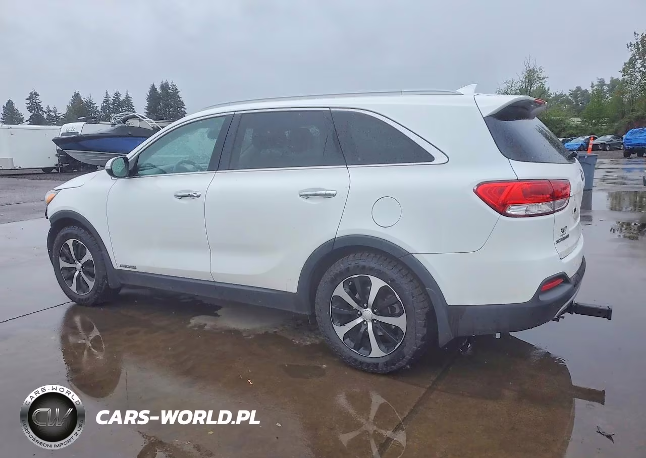 2016 Kia Sorento Ex VIN:5XYPHDA52GG110478 - 2