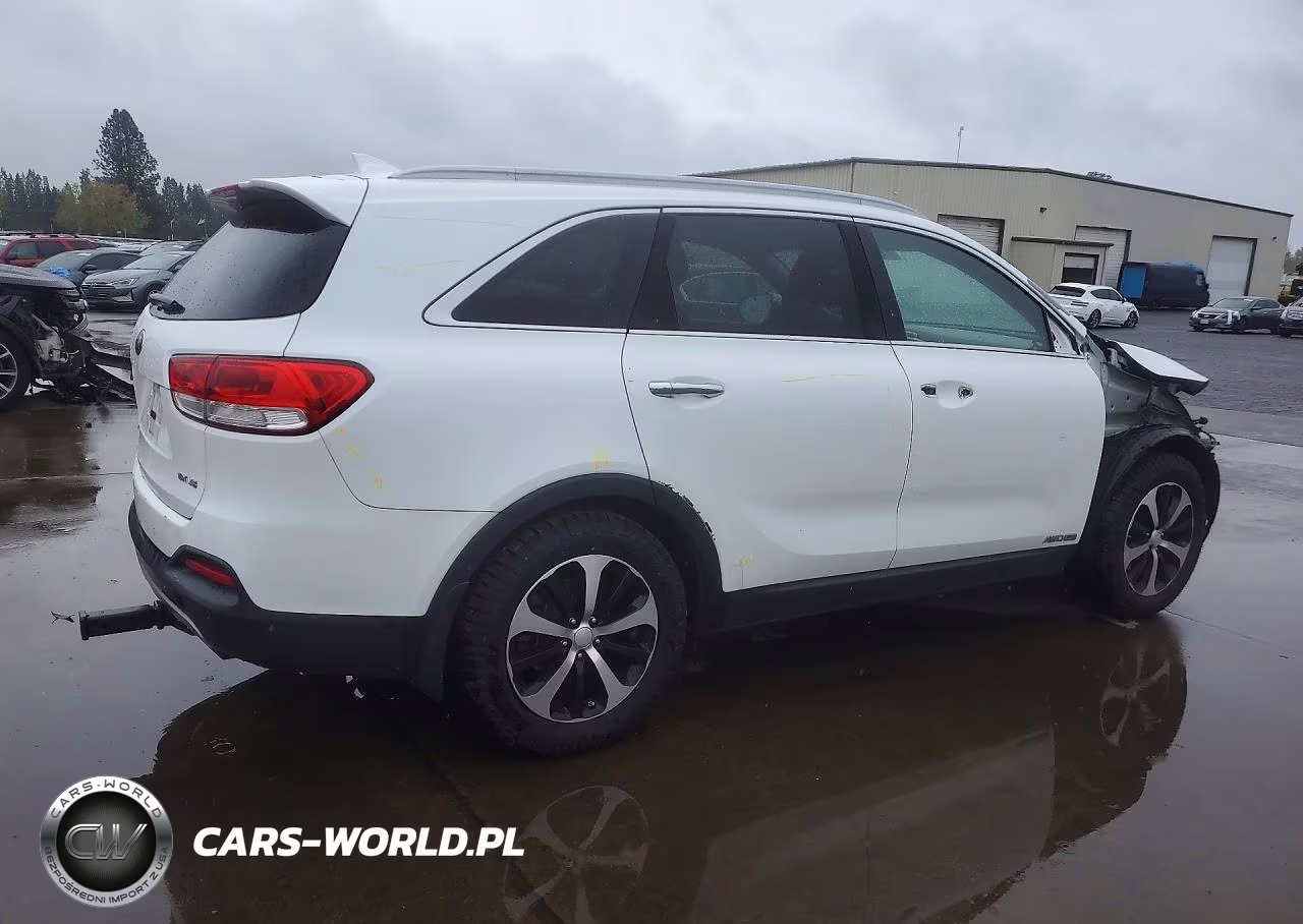 2016 Kia Sorento Ex VIN:5XYPHDA52GG110478 - 3