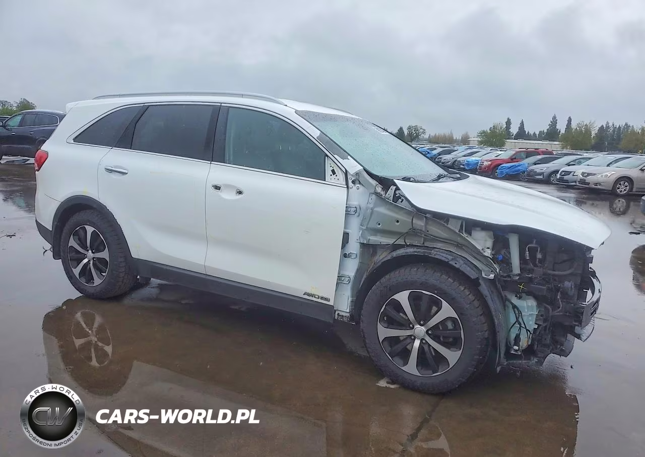 2016 Kia Sorento Ex VIN:5XYPHDA52GG110478 - 4