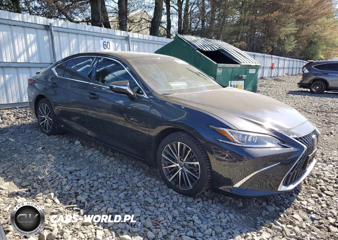 2023 Lexus Es 300H Base VIN:58ADA1C11PU030012 - 4