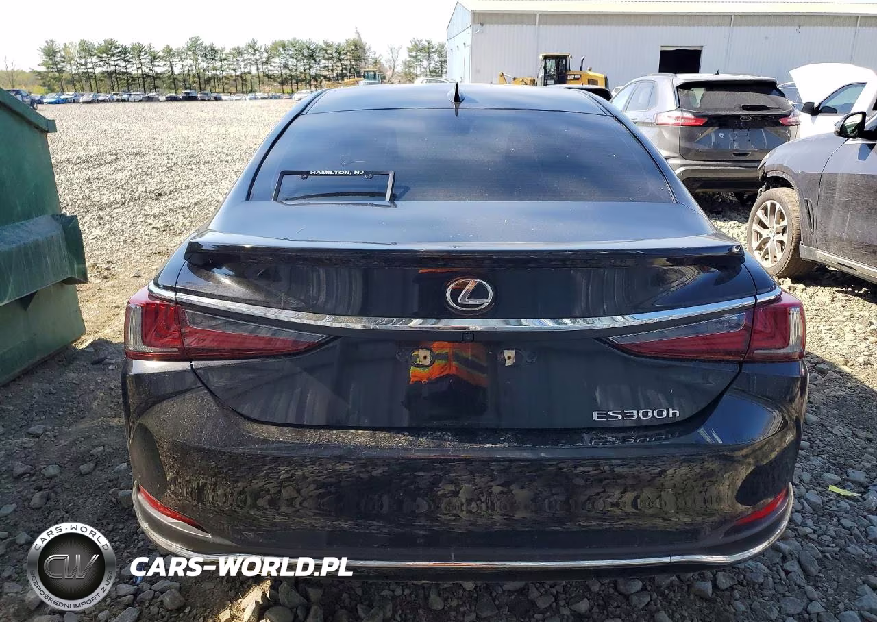 2023 Lexus Es 300H Base VIN:58ADA1C11PU030012 - 6
