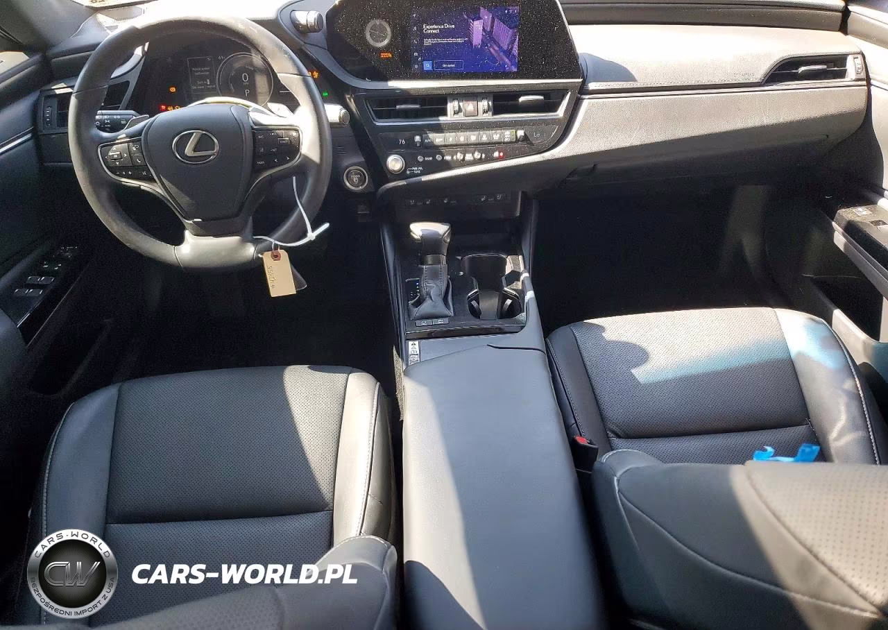2023 Lexus Es 300H Base VIN:58ADA1C11PU030012 - 8