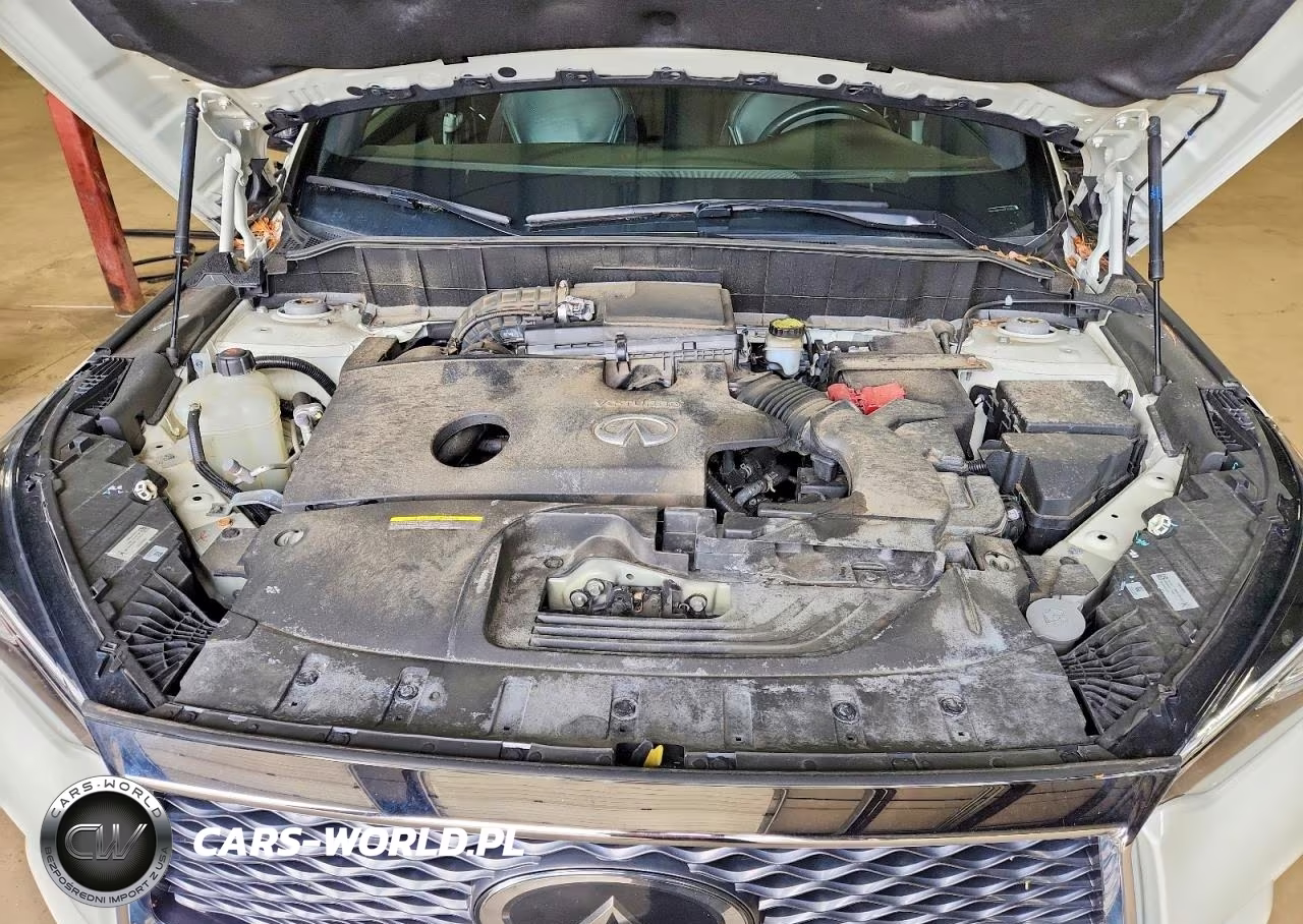 2019 Infiniti Qx50 Essential VIN:3PCAJ5M31KF121322 - 12