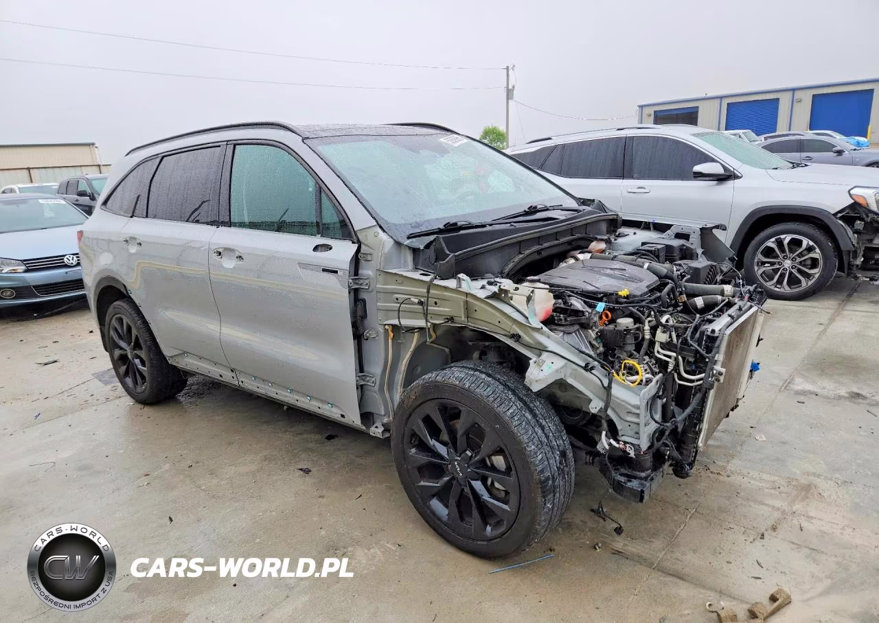 2022 Kia Sorento Sx VIN:5XYRKDLFXNG137456 - 4