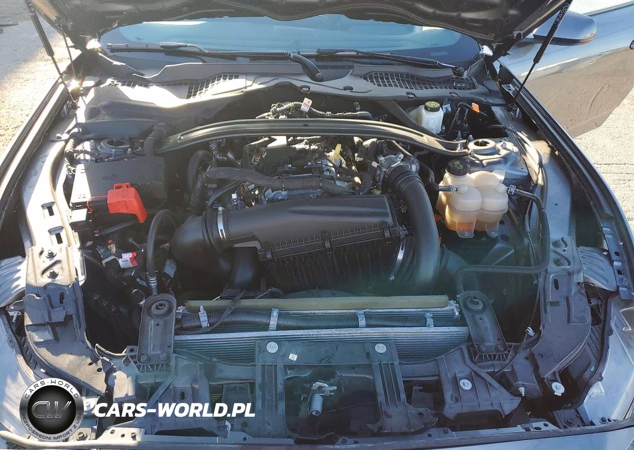 2025 Ford Mustang VIN:1FAGP8UH4S5101224 - 11