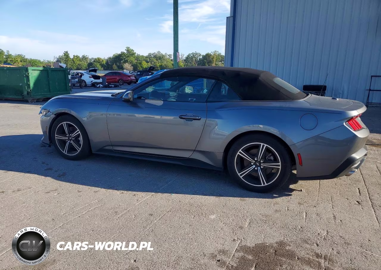 2025 Ford Mustang VIN:1FAGP8UH4S5101224 - 2