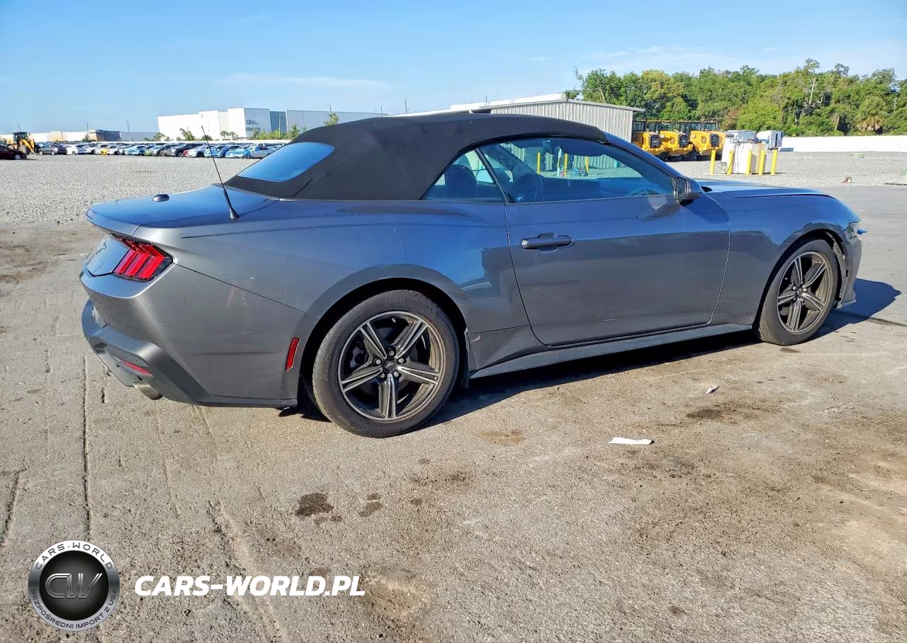 2025 Ford Mustang VIN:1FAGP8UH4S5101224 - 3