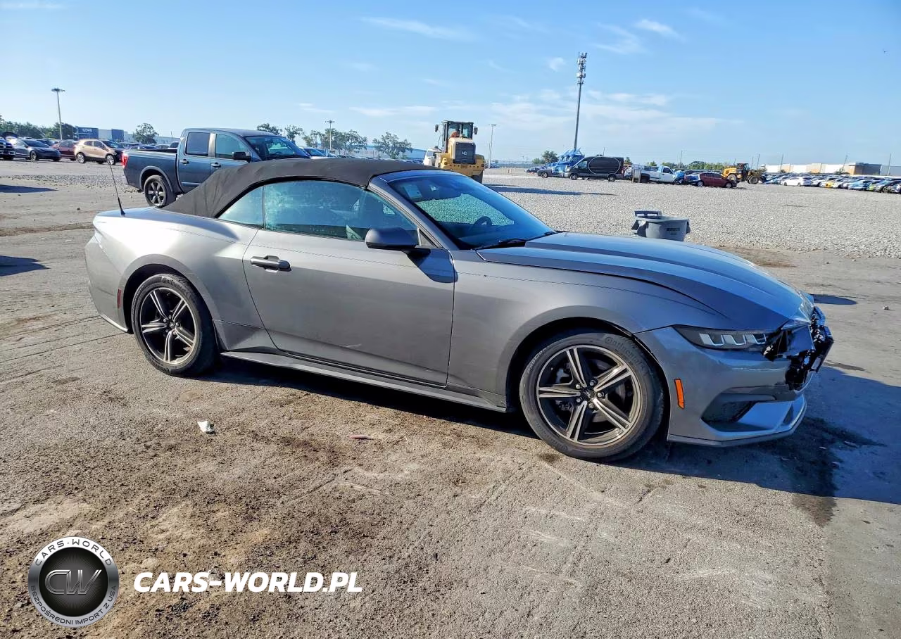 2025 Ford Mustang VIN:1FAGP8UH4S5101224 - 4