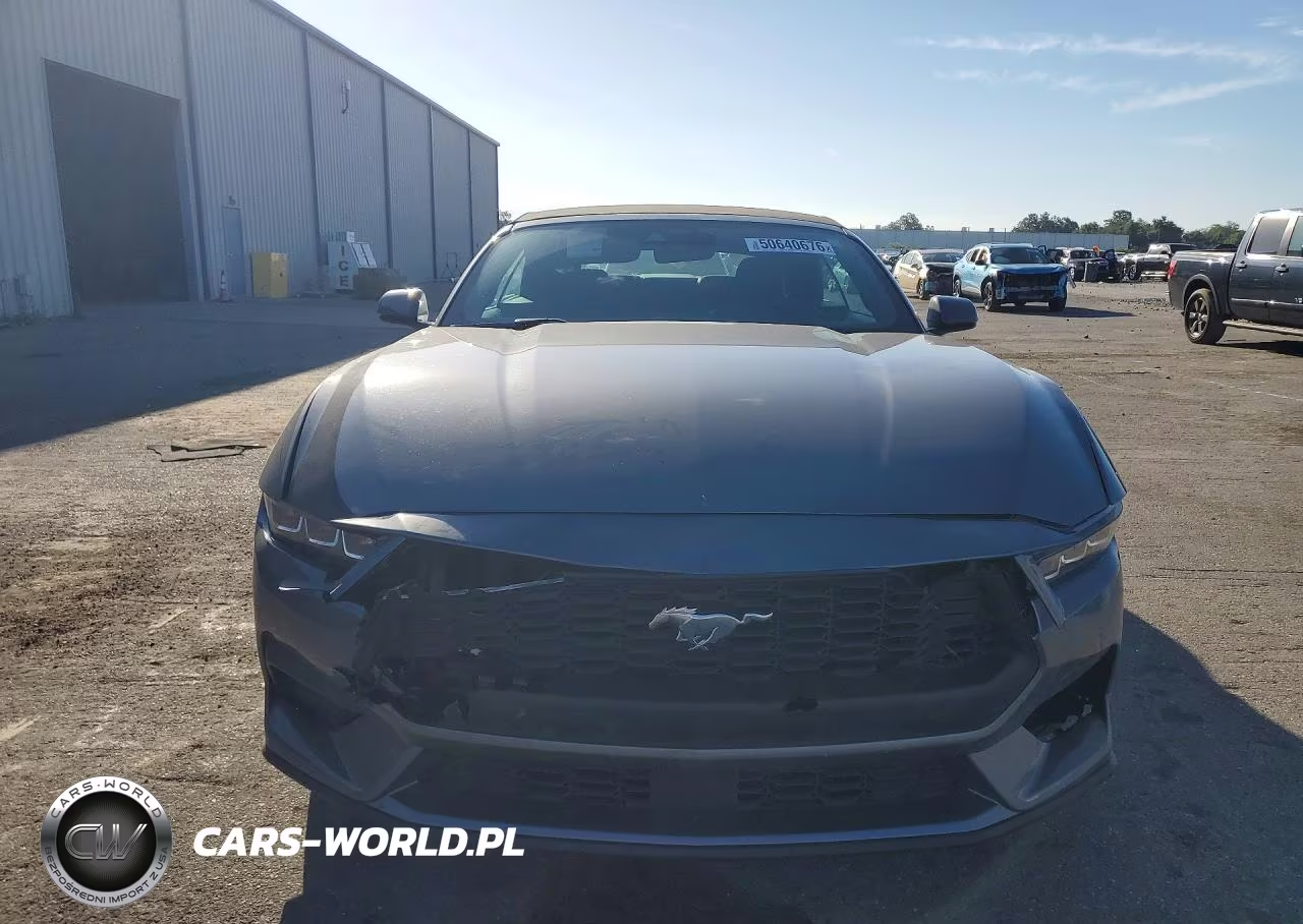 2025 Ford Mustang VIN:1FAGP8UH4S5101224 - 5