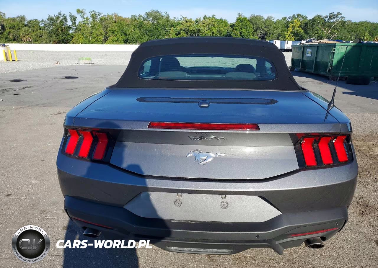 2025 Ford Mustang VIN:1FAGP8UH4S5101224 - 6