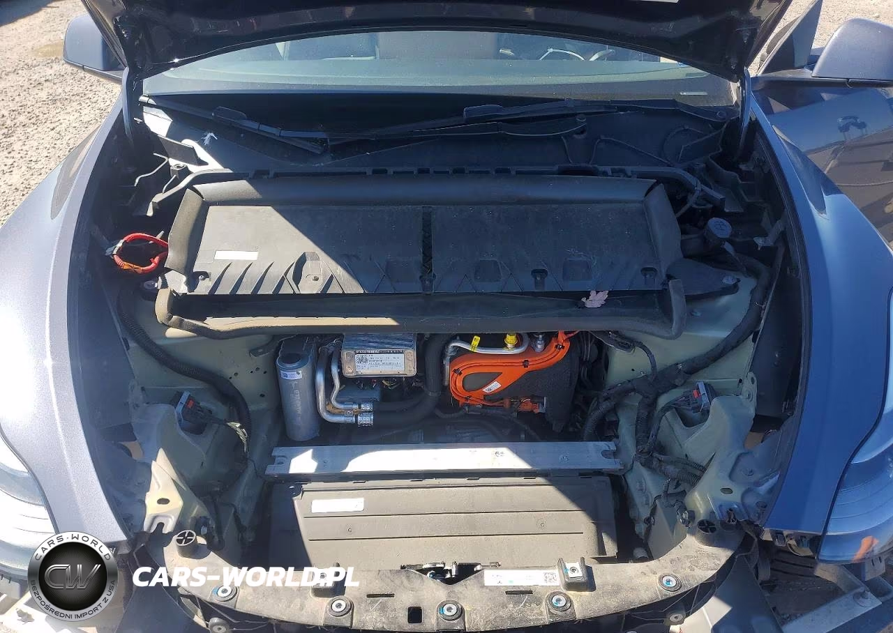 2023 Tesla Model Y VIN:7SAYGDEE4PA171310 - 11