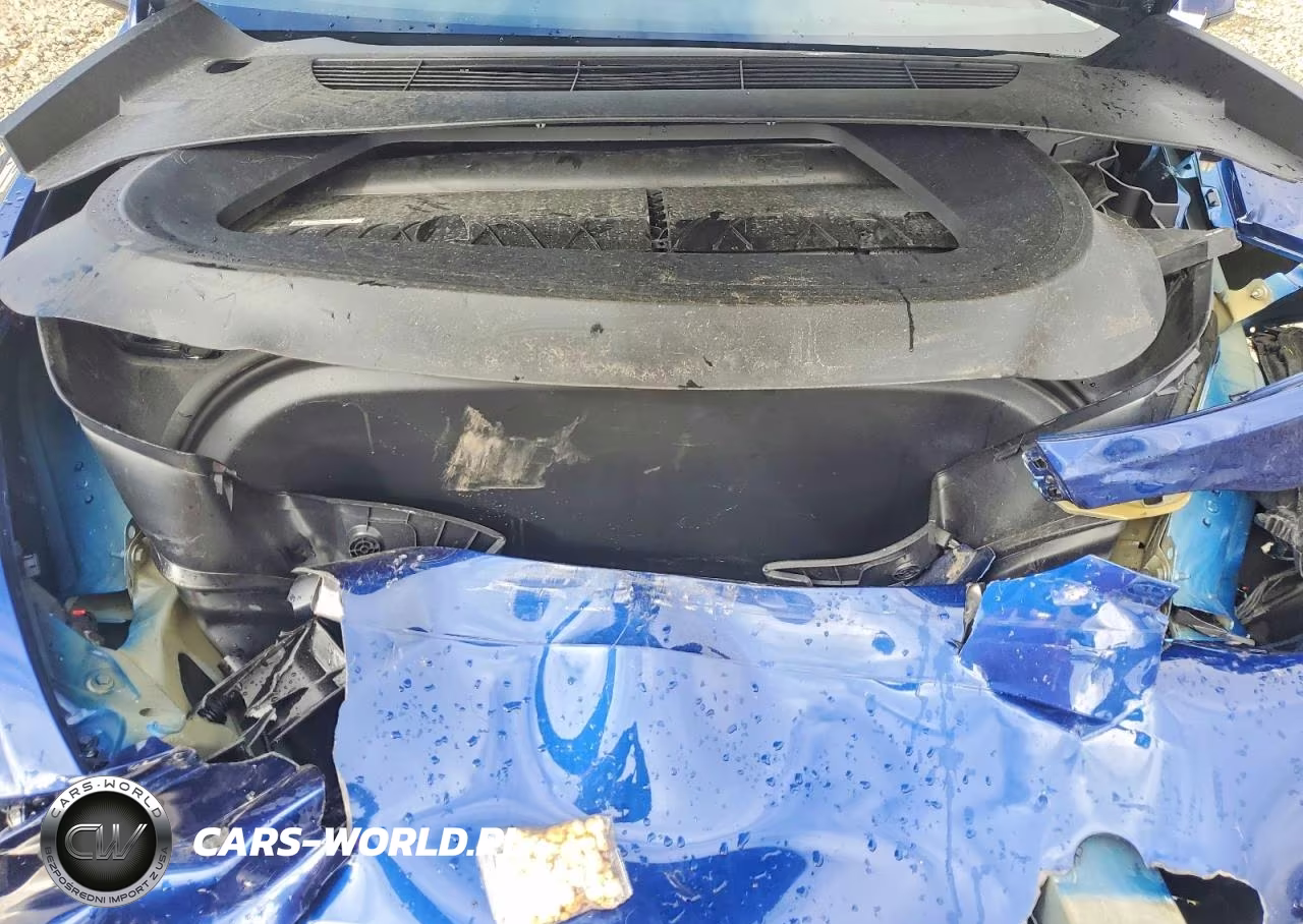 2023 Tesla Model Y VIN:7SAYGDEE0PF809264 - 12